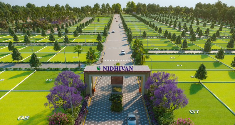 banner nidivan 08
